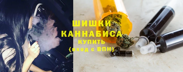 СК Дмитров