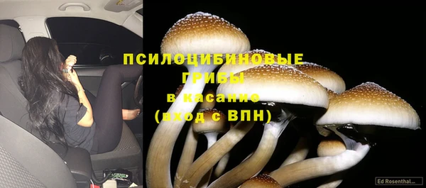СК Дмитров