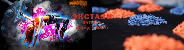СК Дмитров