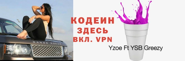 СК Дмитров