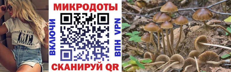 Купить где  Хилок  Псилоцибиновые грибы ЛСД 